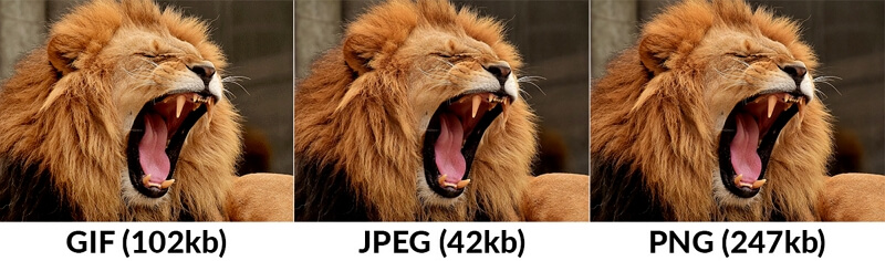 gif-vs-jpeg-vs-png